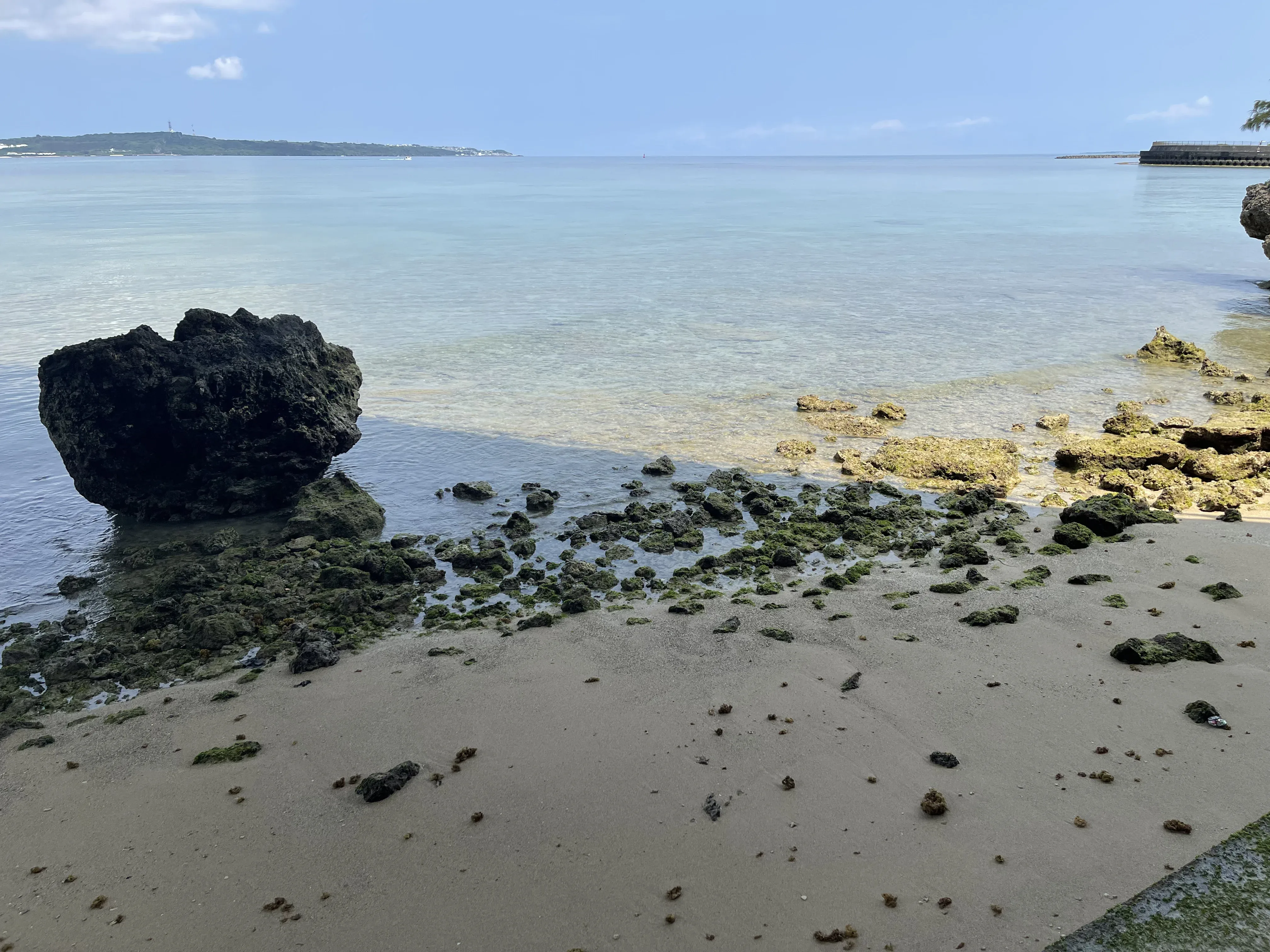 橋の下の海